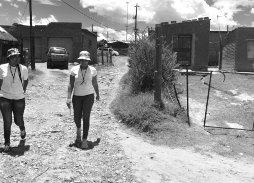 University of the Western Cape